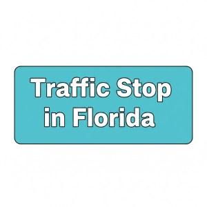 Traffic Stop in Florida