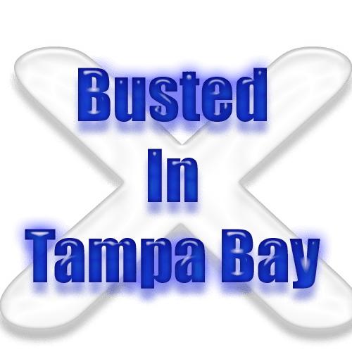 These figures provide a snapshot of the crime rates in the three Tampa Bay area counties, with Hillsborough having the highest population and Pinellas having the highest number of total arrests.